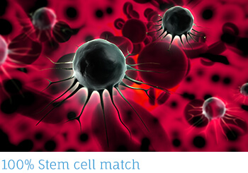 stem-cell-match